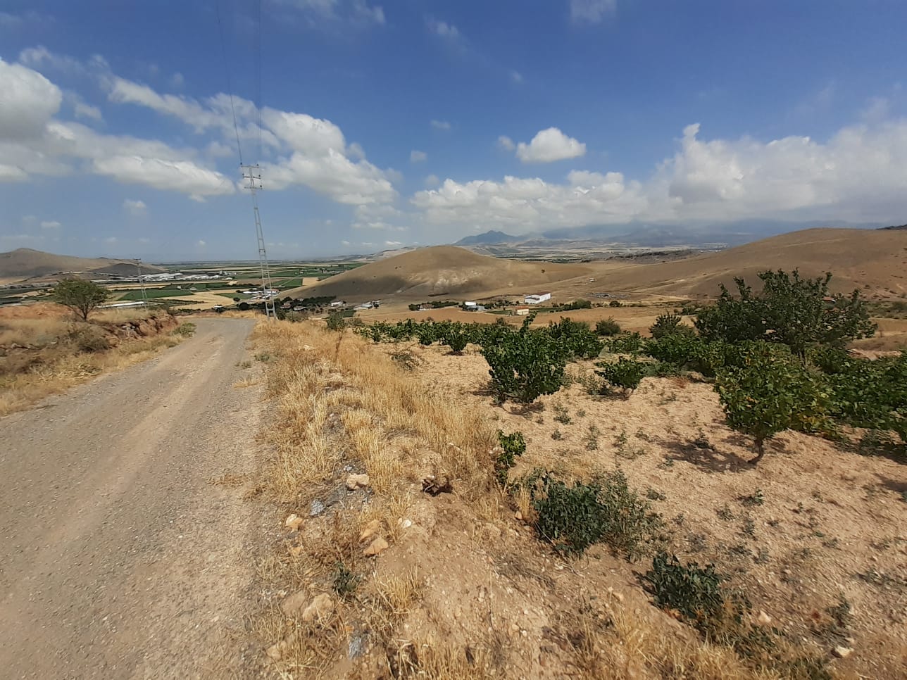 KAYSERİ DEVELİ TOMBAK MAHALLESİ SEĞLİK MEVKİİNDE SATILIK BAĞ